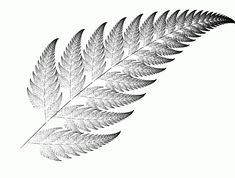 a black and white drawing of a leaf