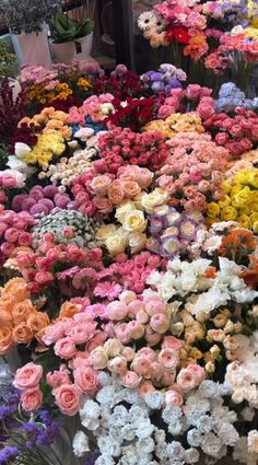 many different colored flowers are on display for sale