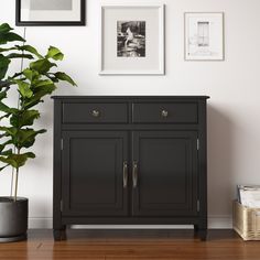 a black cabinet sitting next to a potted plant on top of a hard wood floor