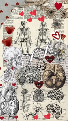 an altered collage of human anatomy and heart shapes