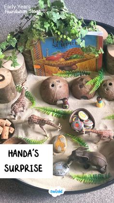 Handas surprise eyfs activities. Click on the pin for more. Walkers books week. Special thanks to Jodie Williams Childminding Jungle Preschool Activities, Handas Surprise Eyfs, Jack And The Beanstalk Eyfs, Bears Eyfs, Jungle Preschool, Tough Tray Ideas, Harvest Activities