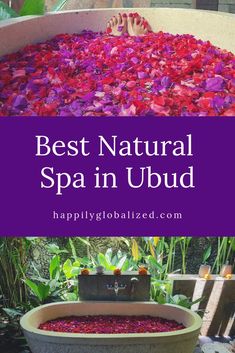 the best natural spa in ubud with pink flowers and purple petals around it