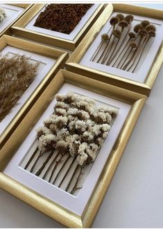 four framed pictures with dried flowers in them on a white table top next to each other