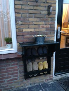 there is a shelf with many pairs of shoes in front of the door that has a potted plant on it