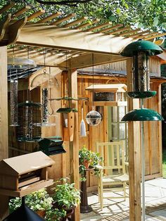 an outdoor area with several bird feeders hanging from the ceiling