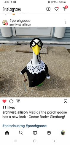 an image of a bird with glasses on it's head and the caption says, i like