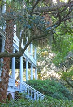 a white house surrounded by trees and bushes