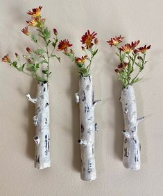 three vases with flowers in them are made out of birch trees and branches on the wall