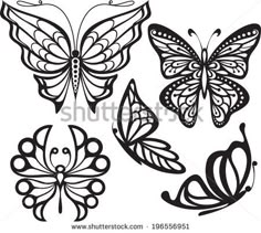 butterflies with different shapes and sizes