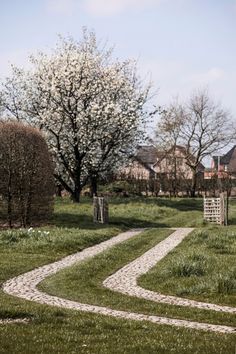 a white gate in the middle of a grassy field