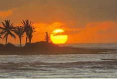 the sun is setting over the ocean with palm trees in the foreground and an island in the background