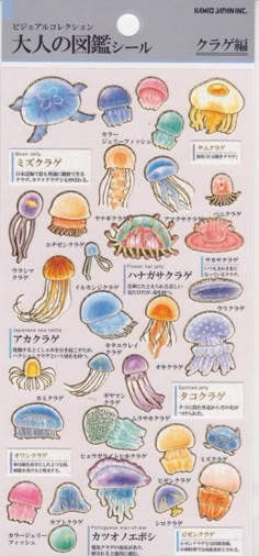 an image of jellyfish in japanese language