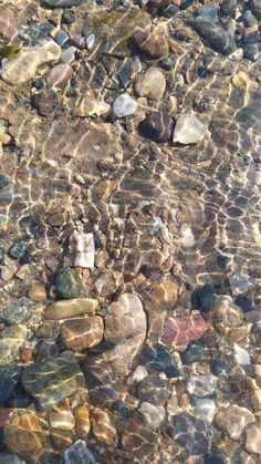 rocks and pebbles in shallow water on the beach