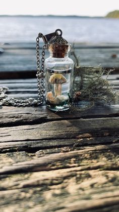 a glass jar filled with tiny mushrooms on top of a wooden table next to water