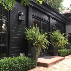 two potted plants on the side of a black house with brick walkway and steps