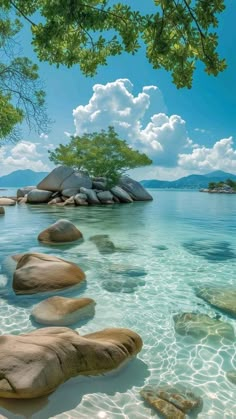 the water is crystal clear and there are rocks in the shallow blue water near some trees