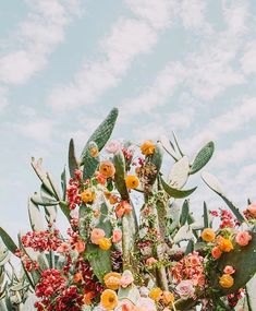 an arrangement of flowers and cacti on a table