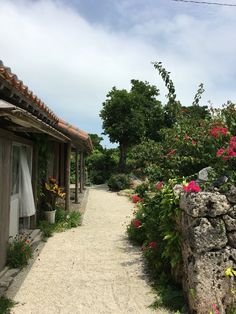 a dirt path between two buildings with flowers growing on the side of it and trees in the background