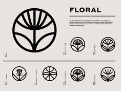 the four types of flowers that can be seen in this graphic