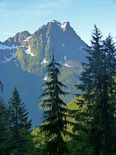 the mountains are covered in snow and green pine trees, as well as white capped peaks