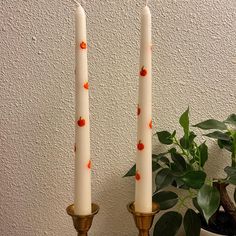 two white candles with orange polka dots on them sitting next to a potted plant