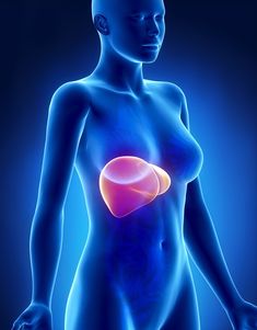 Liver And Gallbladder Cleanse, Gallbladder Cleanse, Detoxifying Liver, Nutritional Therapy Practitioner, Detox Your Liver, Cleanse Your Liver, Nutritional Therapy, Liver Detox, Healthy Liver