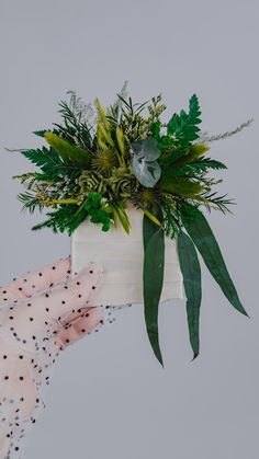 a plant in a white vase with green leaves and polka dots on the wristbands