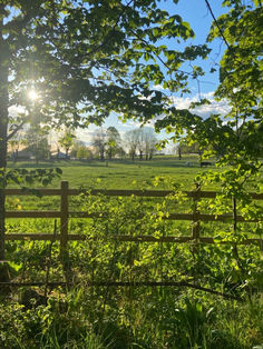 the sun shines brightly through the trees and grass in front of a farm field