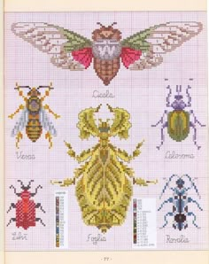 the cross stitch pattern shows different types of bugs