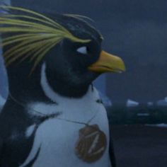 a close up of a penguin with yellow hair