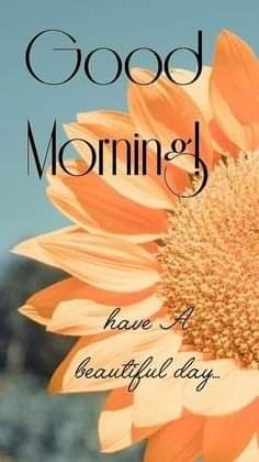 a sunflower with the words good morning have a beautiful day