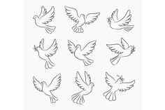 nine doves flying in the air with their wings spread out and facing different directions