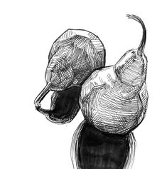 an ink drawing of two pears on top of each other, one is black and white