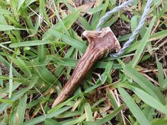 a piece of wood sitting on top of green grass next to a string and rope