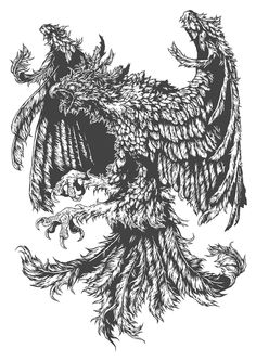 a black and white drawing of an eagle with wings spread out, on a white background