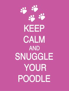 the words keep calm and snuggle your poodle in white on a pink background