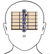 the guitar frets are highlighted in this diagram