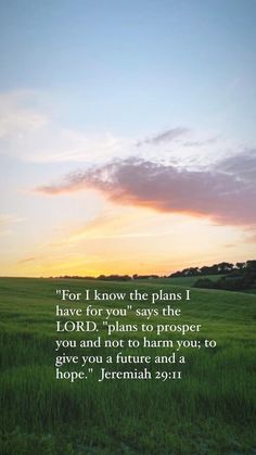 a field with the words for i know the plans i have for you says the lord, plans to prosper