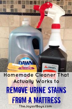 the homemade cleaner that actually works to remove urine stains from a mattress or table top