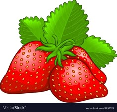 two strawberries with green leaves on white background