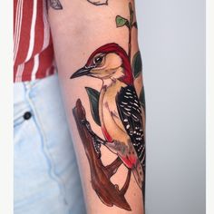 a colorful bird on a branch tattoo on the arm