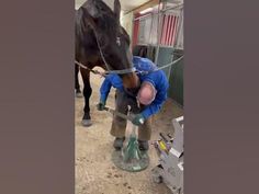 a man standing next to a black horse in a barn with his head on a glass vase