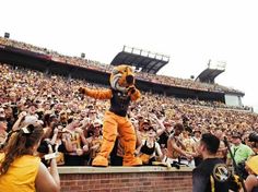 a man dressed as a tiger standing on top of a brick wall in front of a crowd