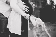 a black and white photo of a pregnant woman kissing her husband's belly with their dog