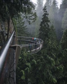 people are walking on a rope bridge in the forest