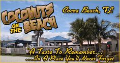 coconuts on the beach flyer with palm trees and buildings in the background for an event