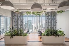 an office with plants in planters on the windowsills and large city view