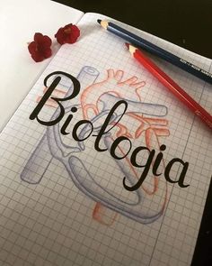 the word biologia written on a piece of paper with pencils next to it