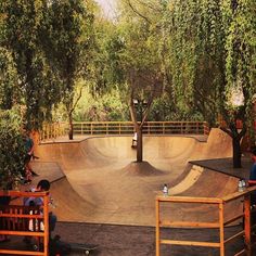 a skateboard park with people sitting on benches and trees in the backround