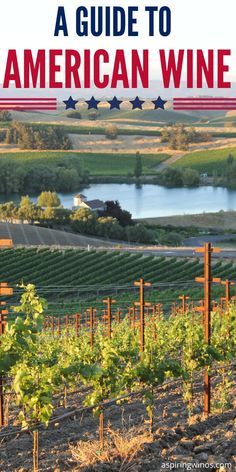 the cover of a guide to american wine, with an image of vineyards in the background